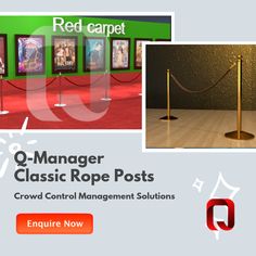 an image of a red carpeted room with rope posts and pictures on the wall