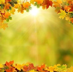 an autumn background with leaves and sunbeams in the middle - free image on pixart