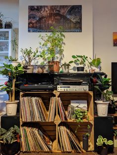 a record player sitting on top of a wooden shelf filled with records and plants in front of a window