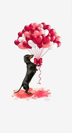 a dog is holding balloons in the air with its head on it's back