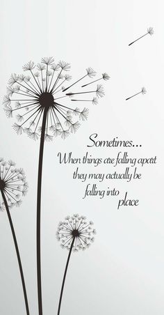 Women Poems, Dandelion Quotes, Falling Into Place, Dandelion Tattoo, A Dandelion, Pola Sulam, Wood Painting, Ink Ideas, Memories Quotes