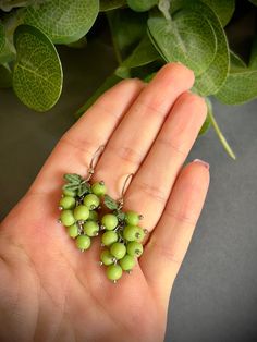 These handmade polymer clay earrings feature a delicate cluster of green grapes, carefully crafted to resemble realistic grape berries. Each bead is intricately shaped and connected with small silver accents, creating a charming and unique accessory. Lightweight and comfortable, these earrings are perfect for everyday wear or as a standout piece for special occasions. Ideal for nature lovers, they add a playful and fresh touch to any outfit. If you're looking for one-of-a-kind, handcrafted jewel Grape Jewelry, Grape Earrings, Green Grapes, Cluster Earrings, Silver Accents, Handmade Polymer Clay, Nature Lovers, Accessories Unique, Raisin