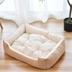 a dog bed on the floor next to a potted plant