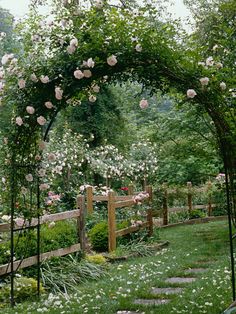 an open garden with white flowers on it