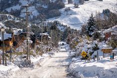 a snow covered road with lots of trees and houses