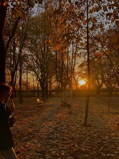 the sun is setting in an autumn park with leaves covering the ground and benches on either side