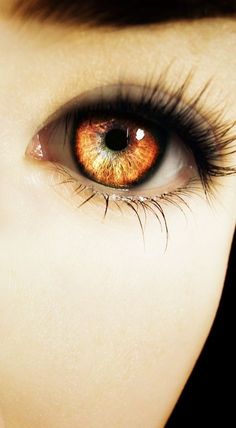 Werewolf Eyes, Lion Eyes, Amber Eyes, Wild Fire, Human Eye