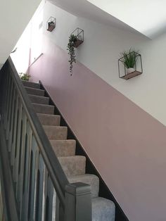 some plants are hanging on the side of a stair case in a house with pink and white walls