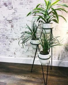 three potted plants sitting on top of each other in front of a brick wall