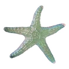 a green and white starfish on a white background