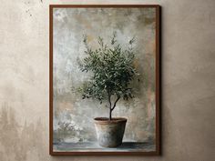 an olive tree in a pot hanging on a wall