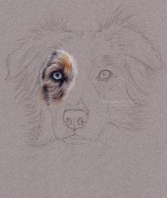 a drawing of a dog's face with blue eyes and brown fur on it