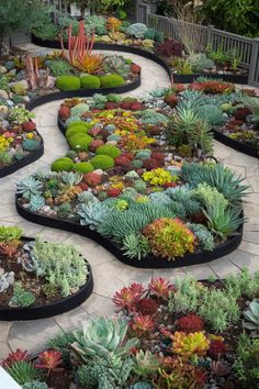 A cozy outdoor area adorned with welcoming succulent designs, showcasing over 20 ideas for creating a warm atmosphere. Succulent Landscaping Front Yard, Succulent Rock Garden, Succulent Landscape, Succulent Species, Landscape Design Ideas, Succulent Landscape Design, Succulent Landscaping, Succulent Wall Art, Rock Gardens