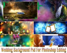 wedding background psd for photoshop editing and videohippers - digital art