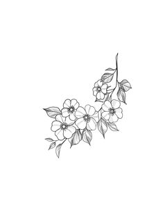 black and white drawing of flowers on a branch