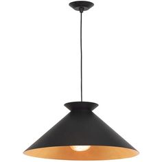 a black and gold colored pendant light hanging from a ceiling fixture with a white background