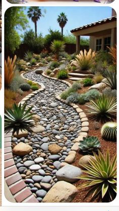 several different pictures of rocks and plants in the garden, including succulents