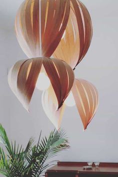 three paper lanterns hanging from the ceiling above a table with a potted plant in front of it