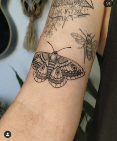 a small moth tattoo on the arm