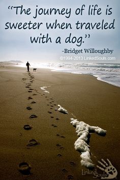 an image of a person walking on the beach with footprints in the sand and a quote about life is sweeter when traveled with a dog