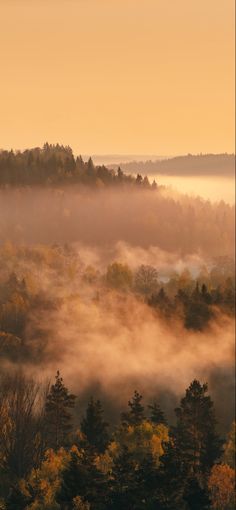 the sun is setting over some trees and fog in the valley, as seen from an overlook point