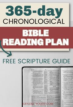 an open bible with the words 365 - day chronological bible reading plan on it