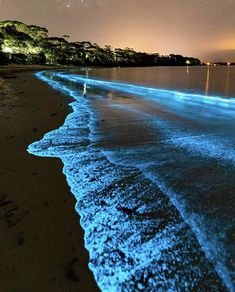 an instagram page with blue water on the beach