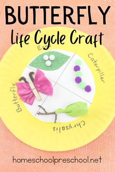 a paper plate with flowers on it and the words butterfly life cycle craft written below