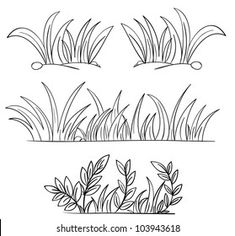 four different types of grass and plants in black and white, each with one line drawing