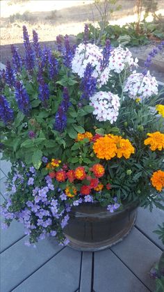 an assortment of flowers in a pot on the ground