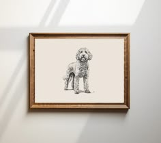 a drawing of a poodle is hanging on the wall