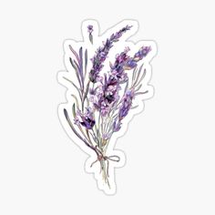 lavender sticker on white background with watercolor style flowers and leaves in the center