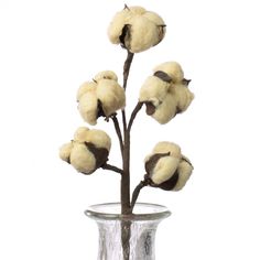 a glass vase filled with cotton flowers on top of a table