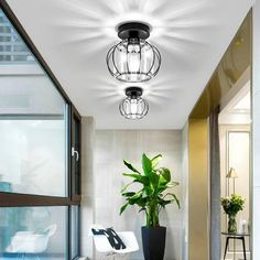 a living room with a potted plant on the floor and lights hanging from the ceiling