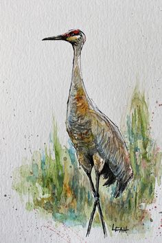 a watercolor painting of a bird standing in the grass