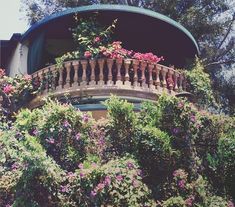 the balcony is covered with flowers and vines