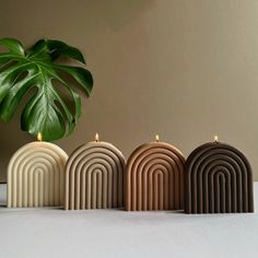 three candles are lined up next to a plant