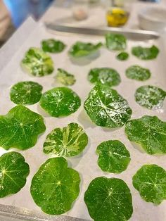 several green leaf shaped objects on a white surface with water in the middle and yellow flecks around them