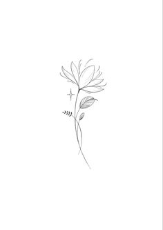 a black and white drawing of a flower