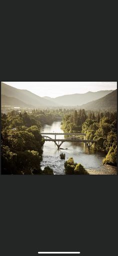 a river running through a lush green forest next to a tall bridge with a sky background