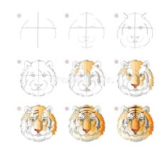 how to draw a tiger's head step by step drawing instructions for beginners