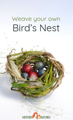 a bird's nest with eggs in it on top of grass and the words, we have your own bird's nest