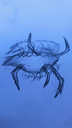 a drawing of a crab in the water