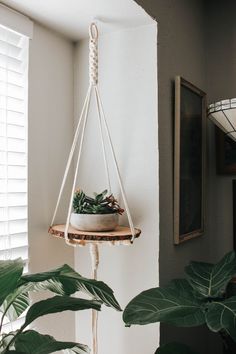 a potted plant is hanging from a rope