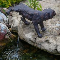 a statue of a dog drinking water from a stream