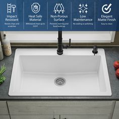 a white sink sitting on top of a counter next to tomatoes and other kitchen items