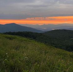 the sun is setting over the mountains in the distance, with grass and wildflowers on the foreground