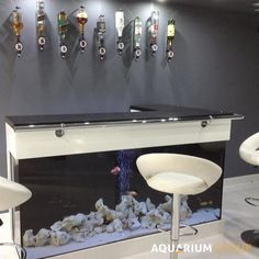 an aquarium with several different types of fish in it and some chairs around the area