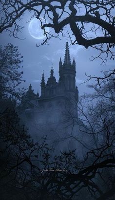 an old castle in the fog with trees around it and moon shining on the sky