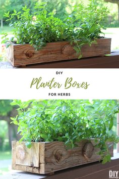 two wooden planters with plants in them and the words diy planter boxes for herbs